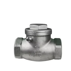 PN16 DN65 Water Stainless Steel 304 Horizontal Threaded Check Valve