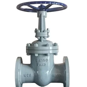 PN16 Dn50 Dn80 Flange Ductile Iron Metal Seated Hydraulic Electric Water Gate Valve