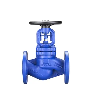 PN16 Inch Globe Control Valve OEM Water Oil Gas Industrial Use Cast Iron/GG Manual Flanged RF 1/2”-16”