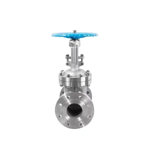PN16 PN20 PN25 Manual Gate Valve CF8 M API Stainless Steel Flange Normal Temperature Steam Heat Hard Seal Rising Stem