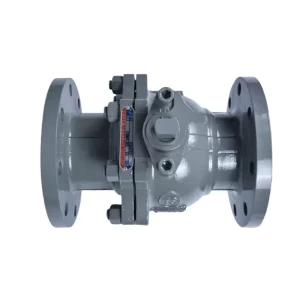 PN16 PN25 Stainless Steel Flanged Ball Valve WCB Manual Handle Ball Valve for Industrial Water Control System