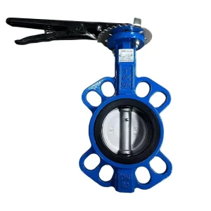 PN16 Wafer Style Butterfly Valve Lever Operated Ductile Iron Butterfly Valve with EPDM Liner for HVAC Irrigation & Water