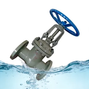 PN25 Cast Steel Gate Valve WCB Flanged Outside Screw and Yoke Flexible Wedge Water Supply Sewage Drainage Isolation Valve