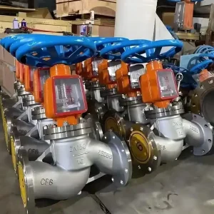 PN40 Angle Pattern Stainless Steel Globe Valve for Pharmaceutical Applications