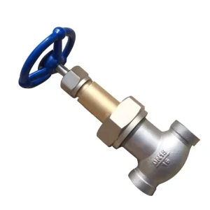 PN40 DN50 Stainless Steel Manual Cryogenic Globe Valve Low Temperature Long Stem Welding End Gas Control PCTFE