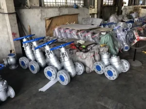 PN40 SS4 Inch Double Disc Bolted Stainless Steel Gate Valve