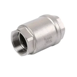 Pipe Fittings Stainless Steel Female Thread Vertical Check Valve Pump Water Pipe DN25 Check Valve Wenzhou