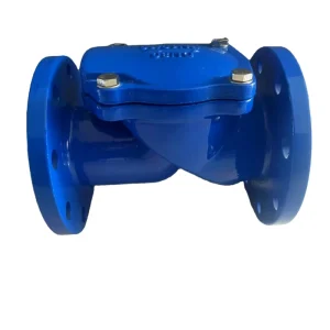 Pipeline One way Check Valve Rubber Flap Check Valve Ductile Iron Flange Check Valve HC44X 16Q