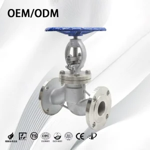 Pn40 Stainless Steel OEM Globe Valve DN100 Flanged Flow Control Globe Valve