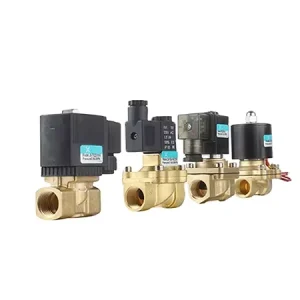 Pneumatic 1/4” Small Body Electric Brass Water Solenoid Valve