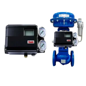Pneumatic Globe Valve with Valve Positioner TS800-RN35S10