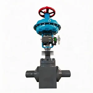 Pneumatic Steam Control Valve for Ozone Generator with Safety Relief and Low Flow Regulation Function