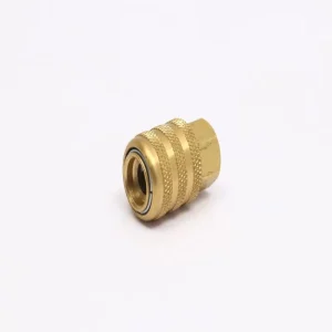 Pneumatic Tools Accessories Brass Parts Air Chuck and Valve OEM