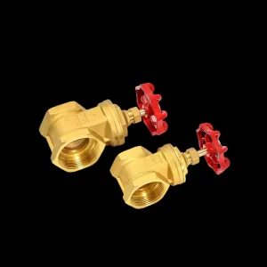 Precision Machined Brass Gate Valve DN15-DN100 Threaded Ends Custom Port Size ODM Support