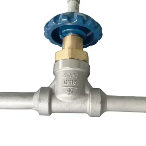 Premium Stainless Cryogenic Check Globe Valve Manual 4.0Mpa Pressure 196 Gas LNG LO2 Service DN10 DN100 Welded End