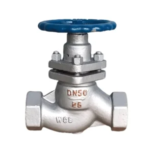 Premium Stainless Steel Female NPT BSP Threaded Piston Valve High Pressure Wear Resistant
