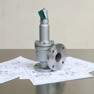 Pressure Relief Valves AQ204 Carbon Steel CS Stainless Steel SS Spring Loaded Flange Safety Valve