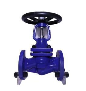 Professional Factory’s DIN Standard Manual Globe Valve Forged Bellow Seal for Water OEM Customized Support