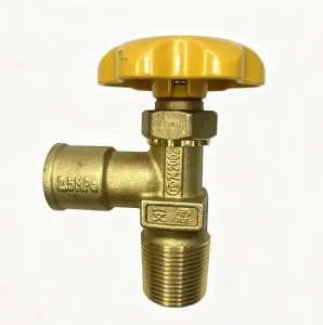 Professional Made OEM LPG Cylinder Valves