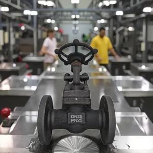 Professional Manufacturer High Shutoff Check Valve Globe Valve Carbon Steel 304 316 DN15 Water Compatible Complete