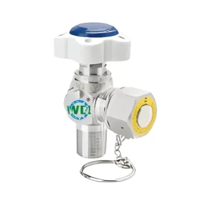 Professional OEM CGA DISS640 Manual Valve with 3/4 NGT Port 316L/C22 Body for Specialty Gas NF3