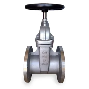 Professional Standard Resilient Seat Gate Valve Stainless Steel Non Rising Stem Flange Manual Gate Valve with Handwheel
