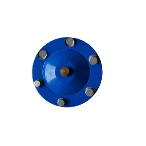 QB1 10 Cast Ductile Iron Single Orifice Air Valve Single Port Quick Exhaust Air Release Valve Air Non Return Valve
