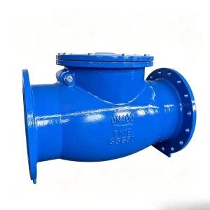 QIANCHENG Ductile Iron DIN Swing Check Valve Flange Connection PN10/PN16 2 Inch Water EPDM Sealing