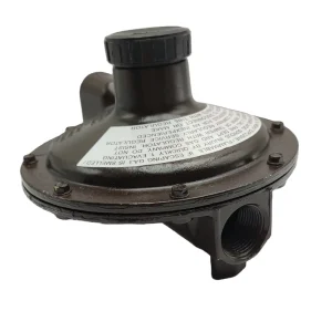 REGO LV 5503B8 Pressure Reducing Valve with High perfromance and Factory Price for Gas Burner Pressure Adjustable