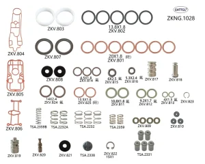 Repair Kit ZKNG.1028 for Transmission Solenoid Valve for Truck Gearboxes 0501216401 Reach Certified