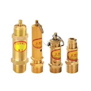 Replacement Safety Valve for Screw Piston Oil Free Compressor