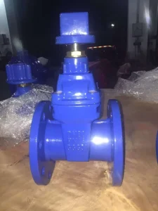 Resilient Seated Gate Valve BS5163 Ductile Iron for Water Handwheel Operation Size DN50 to DN1200