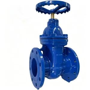 Resilient Seated Gate Valve DN100 PN16 Ductile Iron Flanged Soft Seal Gate Valve for Water Supply