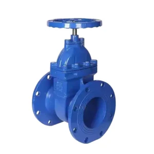 Resilient Seated Gate Valve Flanged Type for Sewage Z45X-16Q Rising Stem