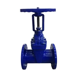 Resilient Seated Gate Valve Seat Cast Iron Stem PN16 DN50-DN250 Rising Flanged CE ISO9001 Firefighting