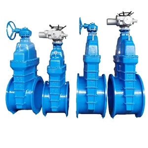 Resilient Wedge Gate Valve DN50 DN600 QT450 10 Ductile Iron EPDM NRS Flanged PN10 PN16 OEM Private Label CE WRAS NSF Stainless