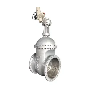 Rising Stem Gate Valve Stainless Steel 304 Visual Position Indicator for Easy Operation
