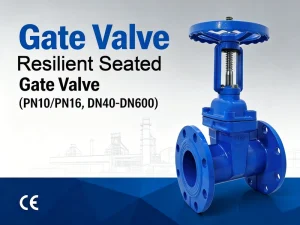 Rising Stem Resilient Seated Gate Valve PN10/PN16 DN40-DN600 Ductile Iron Soft Seal Gate Valve for Water Service CE Certified