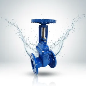 Rising Stem Safety Structure Gate Valve Manual Ductile Iron Flange Seat Sealing Water Use