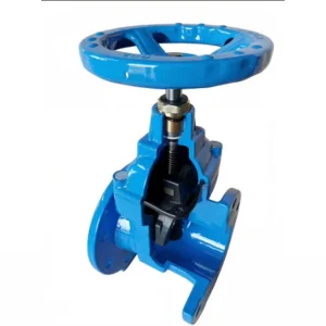 Rotating Rod Gate Valve Cast Iron Check Valve Butterfly Valve (Hydraulic Powered Water 3 Years Warranty) for Drainage Fire