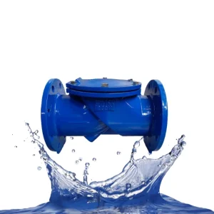 Rubber Flap Check Valve H44x 16q Anti Backflow Reverse Water Valve Flange One way Check Valve