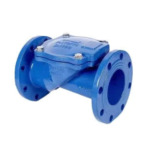 Rubber Flap Check Valve H44x 16q Anti Backflow Reverse Water Valve Flange One-way Check Valve
