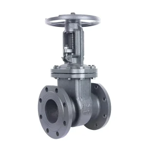 Russian Standard Carbon Steel Gate Valve