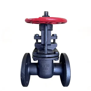 Russian Standard GOST Gate Valve PN10 Py10 Cast Iron Double Disc Metal Seated 30ch6br Water Heating System GG25 Manual