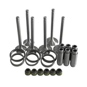 S195 S1100 S1105 S1110 S1115 S1125 S1130 Single Cylinder Diesel Engine Parts Valve Assembly Diesel Engine Valve Set