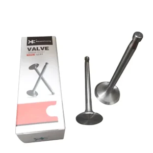 S195 Valve Intake and Exhaust Engine Valve Kits Diesel Engine Spare Part
