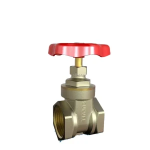 S5101 Brass Water Gate Valve