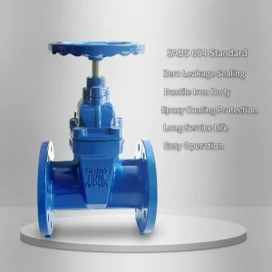 SABS 664 Resilient Seated Gate Valve Ductile Iron Soft Seal Gate Valve PN16 for South Africa Water System