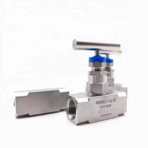 SS 316 High Pressure DN15 DN20 DN25 6000PSI Needle Valve 1/4 1/2 1 Inch