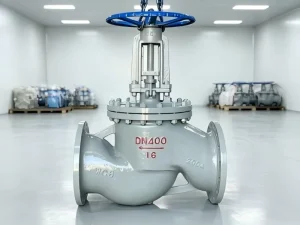 SS Y Pattern Globe Valve F316L 304 31CF8 CF8M Class800 DN25 Flanged RF for Steam & Hot Oil